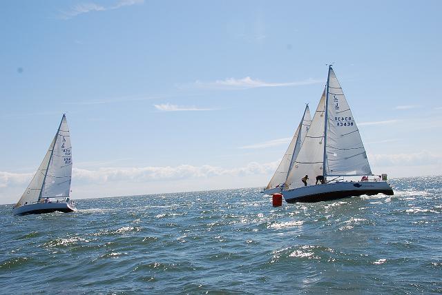 DSC_0159 Race 1 - 